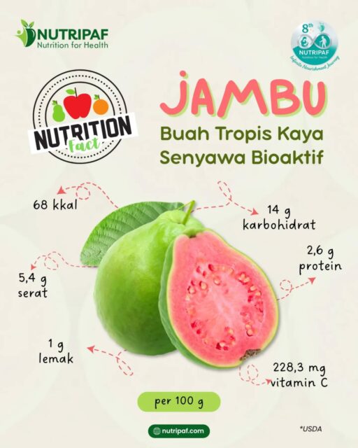 Hi Nutrifers! ✨

Jambu mungkin sudah sering kita temui sehari-hari, tetapi siapa sangka buah lokal ini menyimpan beragam kandungan gizi dan senyawa bioaktif yang menarik untuk dikenal lebih dekat. 🌿

Memahami kandungan setiap bahan pangan dapat membantu kita membuat pilihan makan yang lebih beragam dan seimbang. Karena pada akhirnya, pola makan sehat tidak ditentukan oleh satu jenis makanan saja, melainkan oleh kebiasaan baik yang dilakukan secara konsisten. 💚

Kalau Nutrifers sendiri, lebih suka jambu merah atau jambu putih nih? 👀👇

Ingin menyusun pola makan yang lebih sesuai dengan kebutuhan dan tujuan kesehatanmu? Yuk konsultasikan bersama @Nutripaf ♥️

#nutripaf #klinikgizi #klinikdietisien #konsultasigizi #dietisien