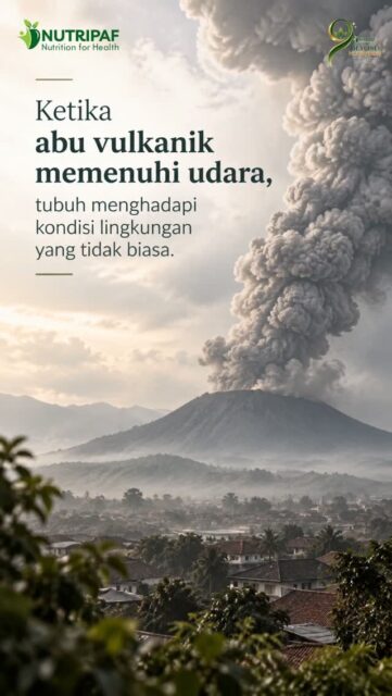 Hi Nutrifers! ✨
Ketika abu vulkanik memenuhi udara, tubuh menghadapi kondisi lingkungan yang tidak biasa. Selain mengurangi paparan, penting juga untuk memastikan tubuh tetap mendapatkan asupan yang mendukung fungsi sistem imun. 🌿
Mulai dari cukup protein, melengkapi makanan dengan sayur dan buah yang beragam, hingga memenuhi kebutuhan cairan. Karena menjaga daya tahan tubuh bukan tentang mencari satu makanan yang bisa meningkatkan imun secara instan, tetapi tentang memenuhi kebutuhan tubuh secara cukup, beragam, dan seimbang. 💚
Jika Nutrifers ingin mengetahui kebutuhan gizi yang sesuai dengan kondisi dan kebutuhan tubuh masing-masing, yuk konsultasikan bersama dietisien di @Nutripaf ♥️
#nutripaf #klinikgizi #klinikdietisien #konsultasigizi #abu vulkanik dayatahantubuh imunitas